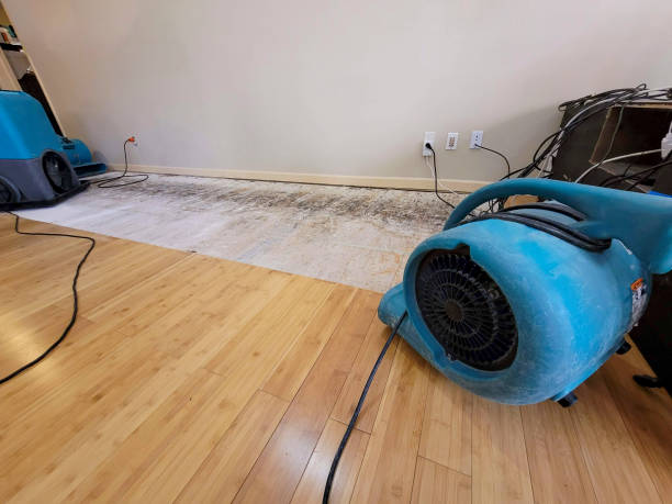 Reliable Basement Flood Cleanup contractor in Richland, WA by Hirex Water Damage