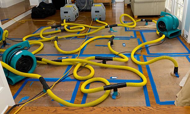 Professional Basement Flood Cleanup technician working in Richland, WA